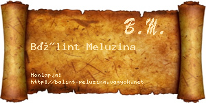 Bálint Meluzina névjegykártya